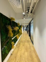 Lazada One (D7), Office #456908591